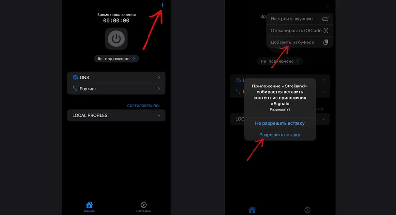 streisand_vpn